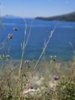 Corfu_04