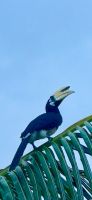 Thailand_02